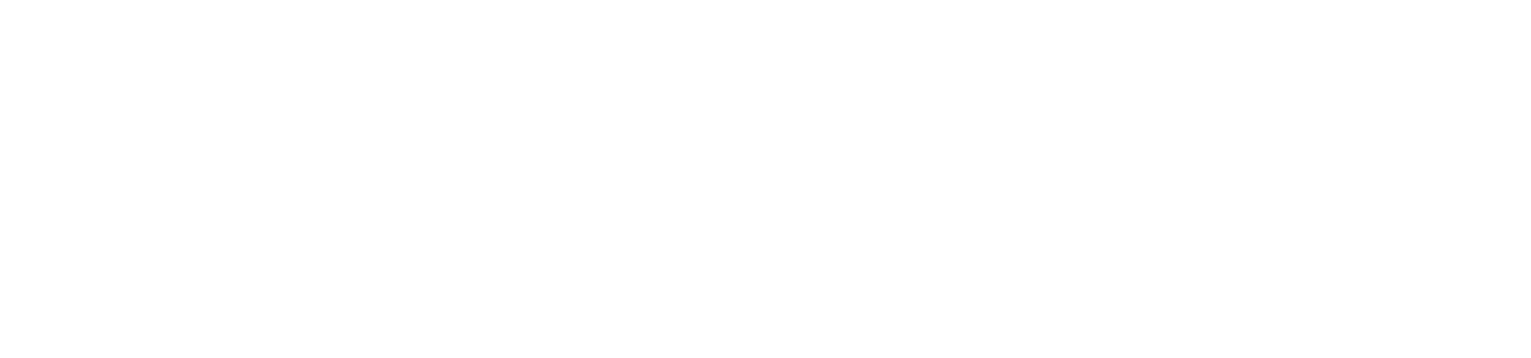 Veritas Data